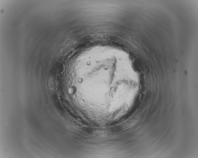 X0000073920699200609011809