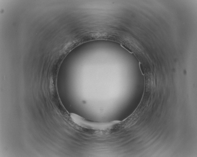 X0000073920700200609011809