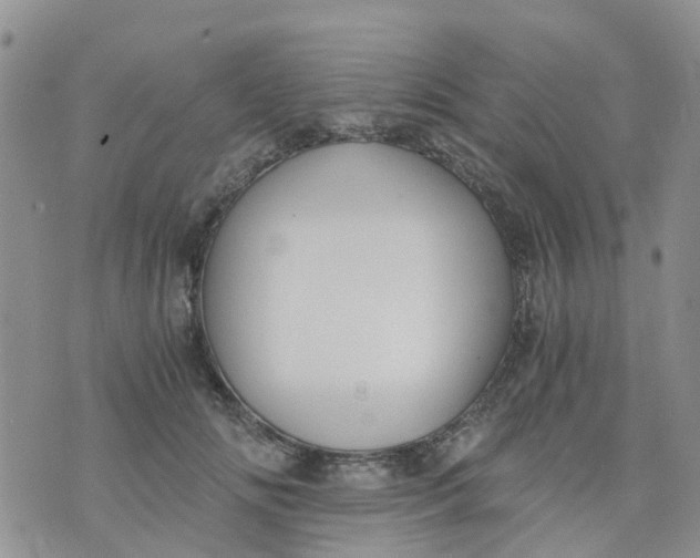 X0000073920702200609011809