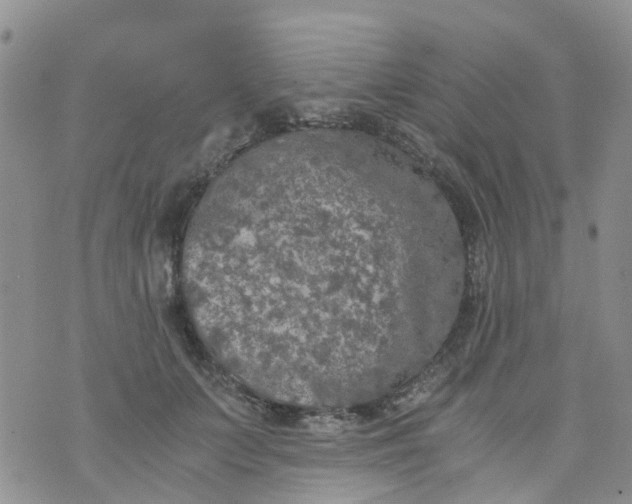 X0000073920703200609011809