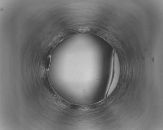 X0000073920704200609011809