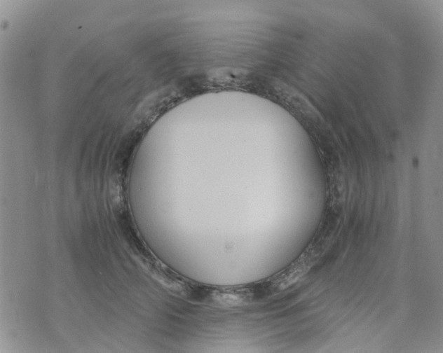 X0000073920706200609011809