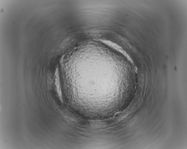 X0000073920707200609011809