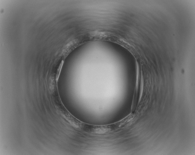 X0000073920708200609011809