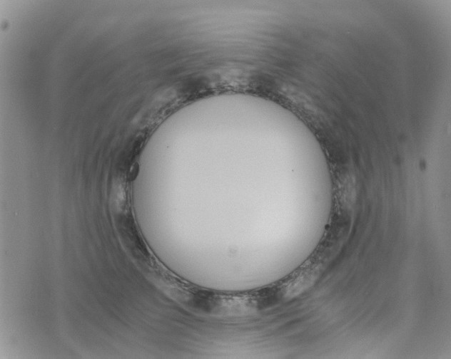 X0000073920709200609011809