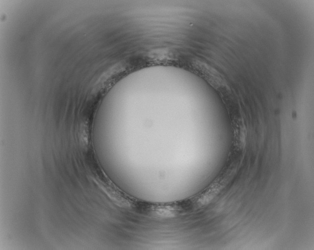 X0000073920710200609011809