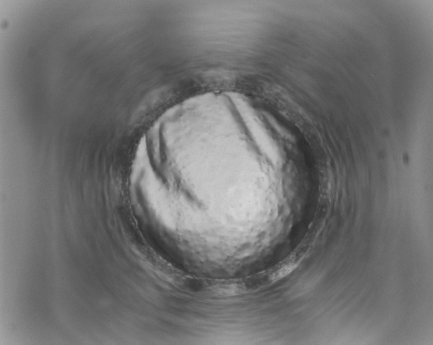 X0000073920711200609011809