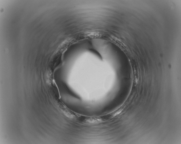 X0000073920712200609011809