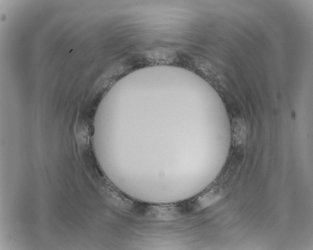 X0000073920713200609011809