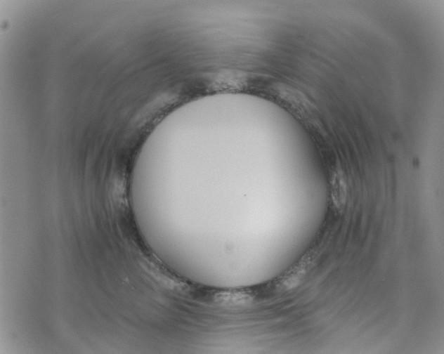 X0000073920714200609011809