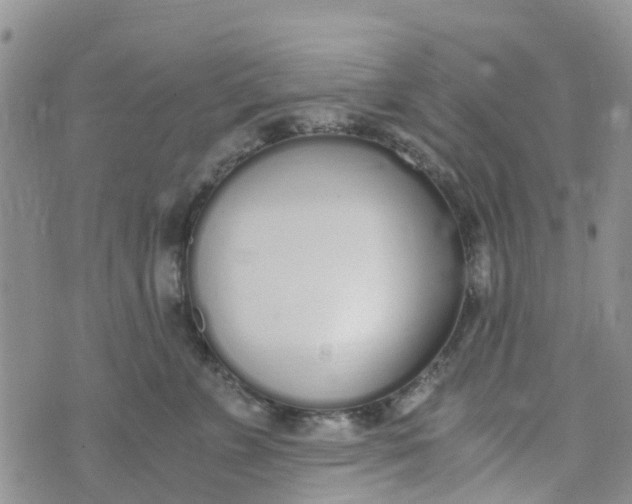 X0000073920715200609011809