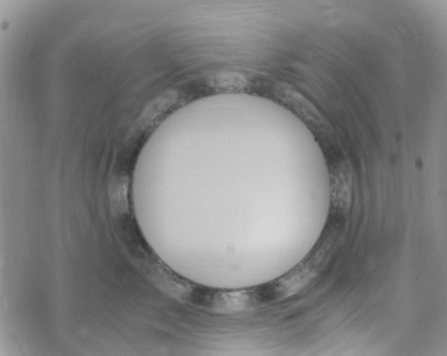 X0000073920717200609011809