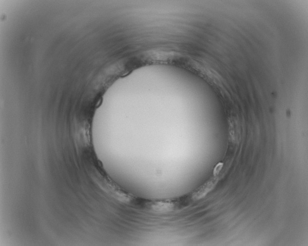 X0000073920718200609011809