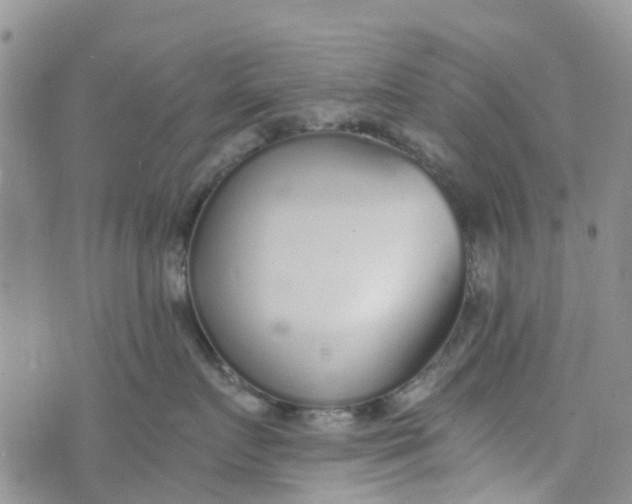 X0000073920719200609011809