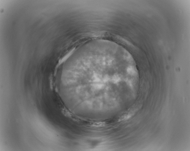 X0000073920720200609011809