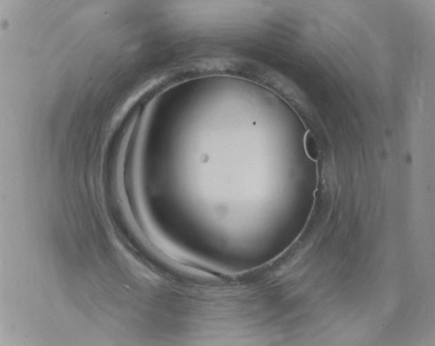 X0000073920722200609011808