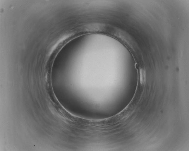 X0000073920723200609011808