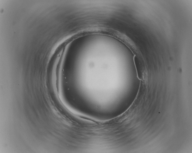 X0000073920724200609011808