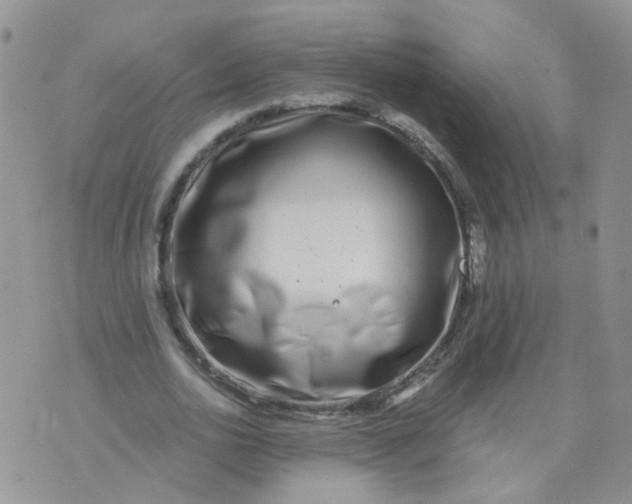 X0000073920726200609011808