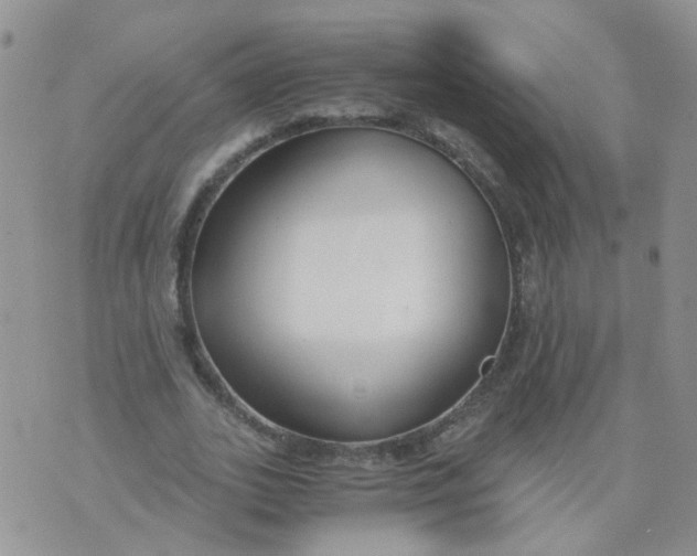 X0000073920727200609011808