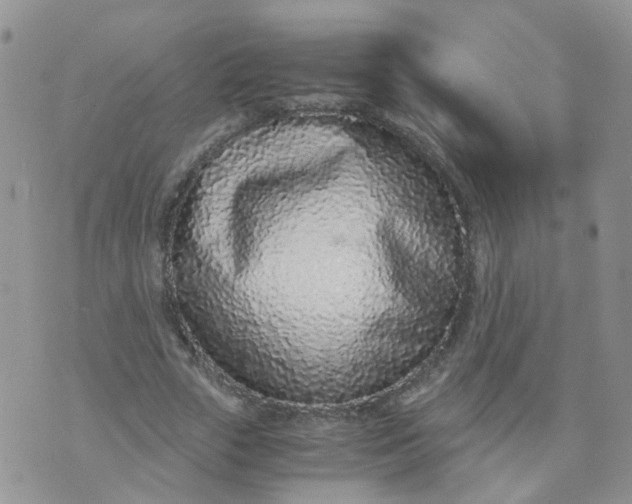 X0000073920729200609011808