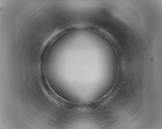 X0000073920730200609011808