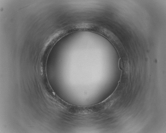 X0000073920731200609011808