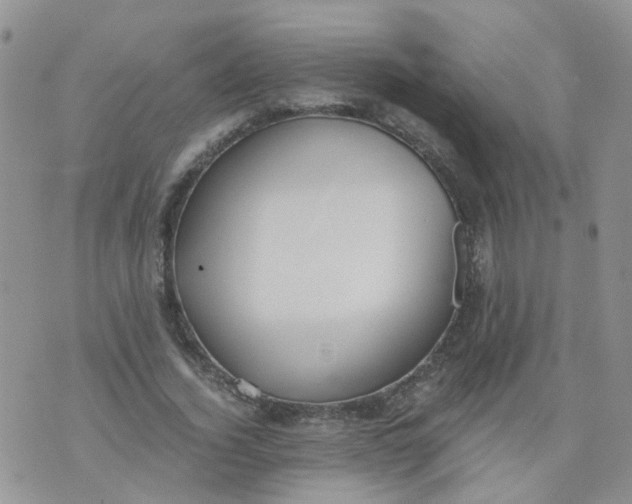 X0000073920732200609011808