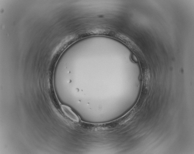 X0000073920734200609011808