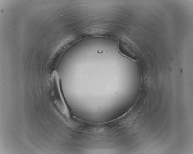 X0000073920735200609011808