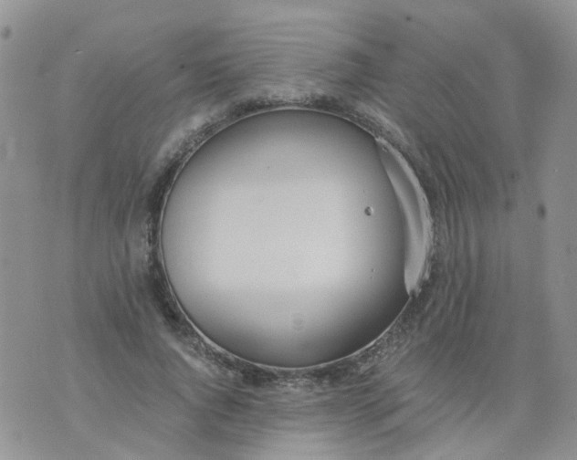 X0000073920736200609011808