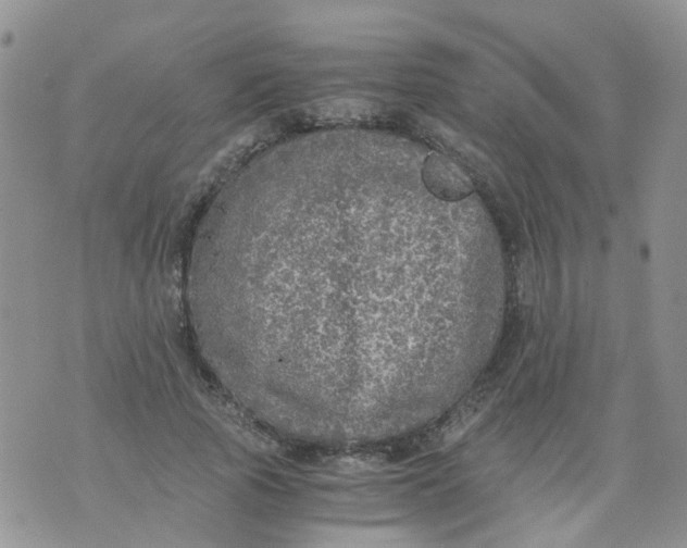 X0000073920737200609011808