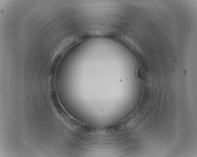 X0000073920738200609011808