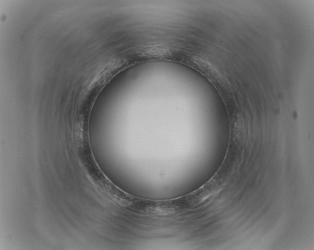 X0000073920739200609011808