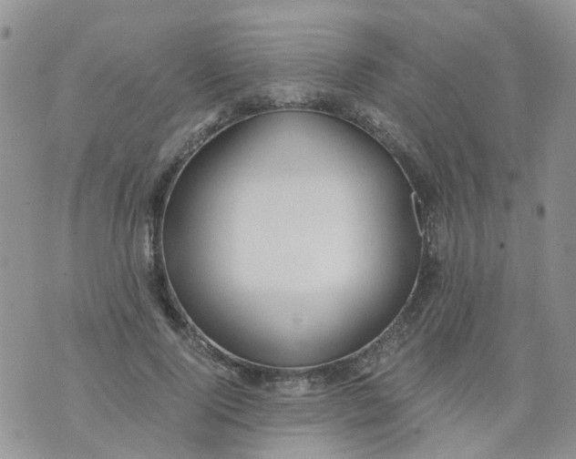 X0000073920740200609011808