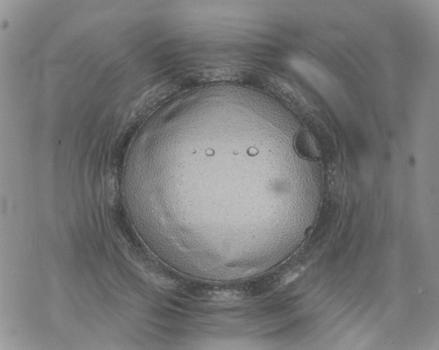 X0000073920741200609011808