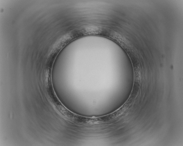 X0000073920742200609011808