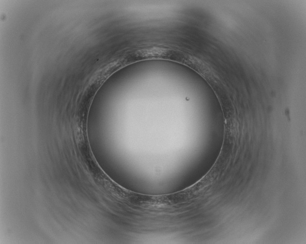 X0000073920743200609011808