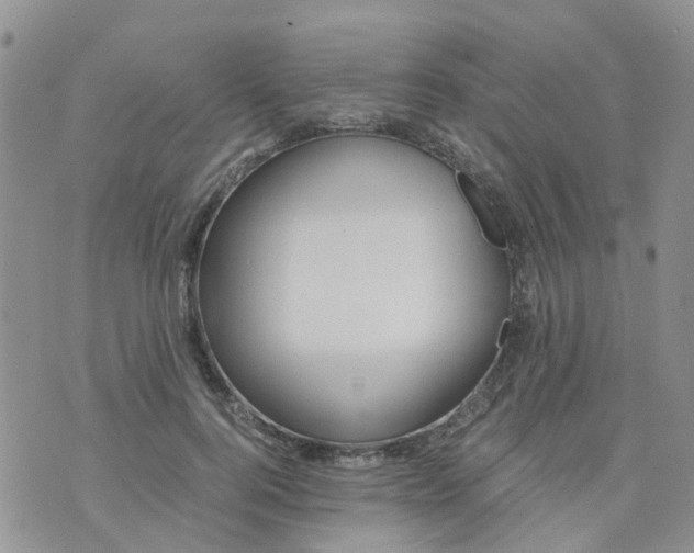 X0000073920744200609011809