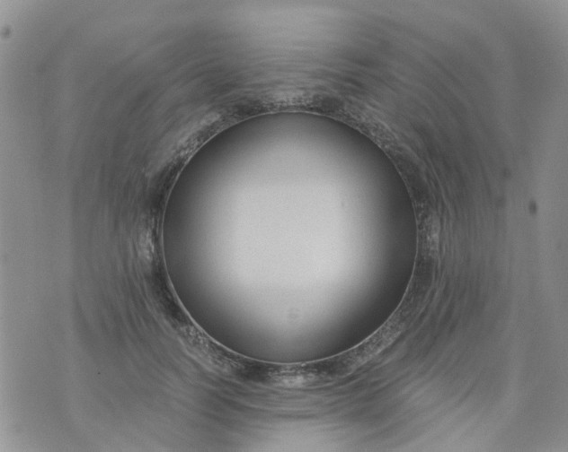 X0000073920746200609011809