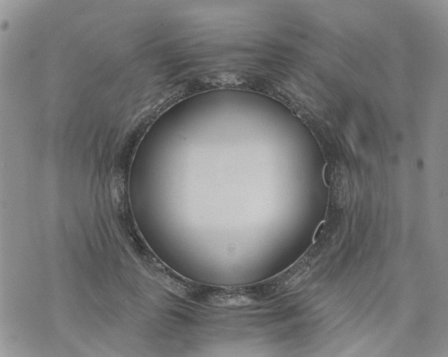 X0000073920747200609011809