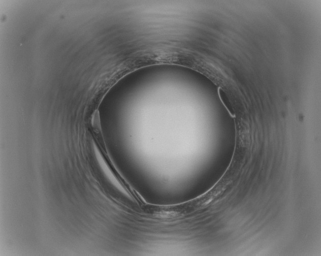 X0000073920748200609011809