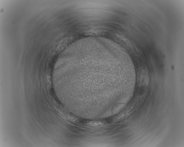 X0000073920749200609011809