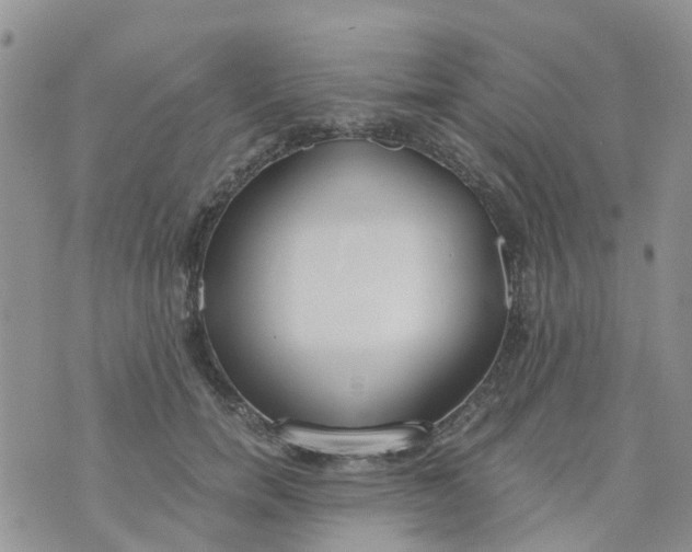 X0000073920750200609011809