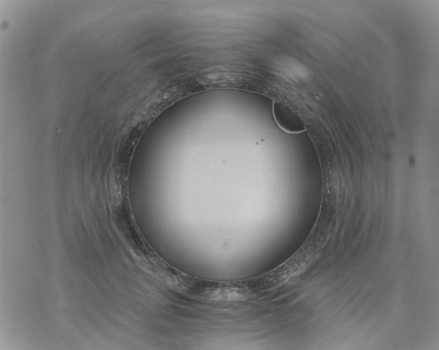 X0000073920751200609011809