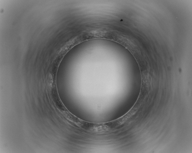 X0000073920752200609011809