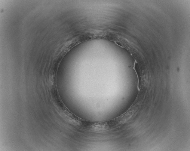 X0000073920756200609011809