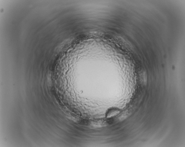 X0000073920757200609011809