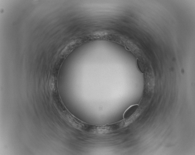 X0000073920758200609011809