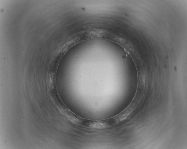 X0000073920759200609011809